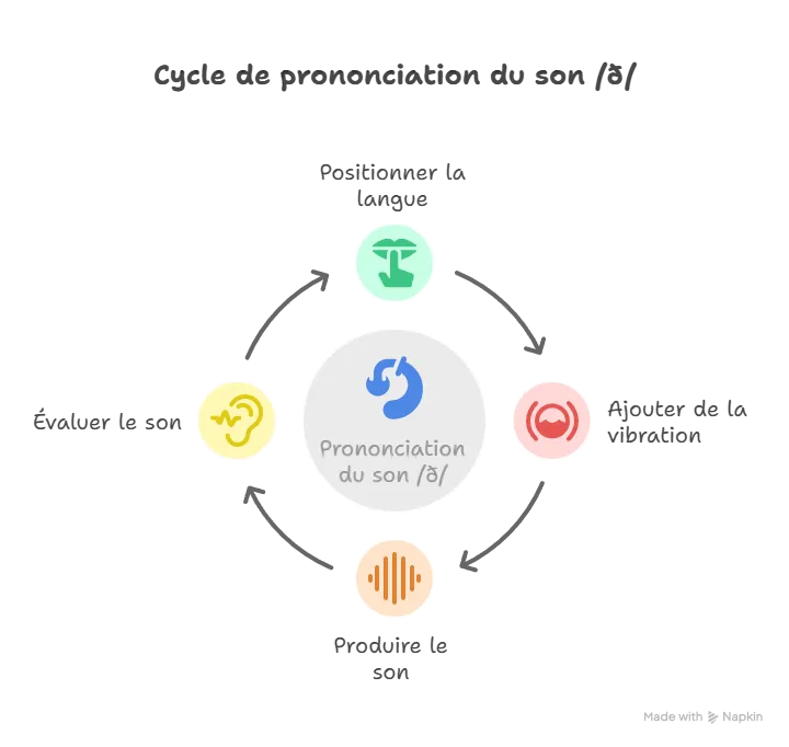 Cycle de prononciation du son /ð/