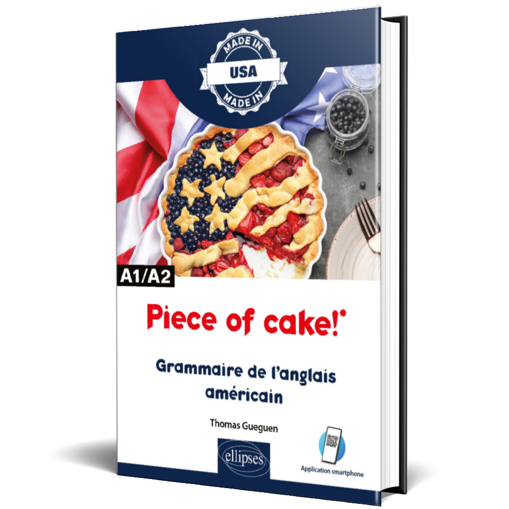 3Dpiece of cake cover