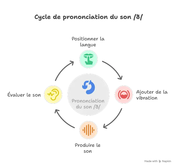 Cycle de prononciation du son /ð/